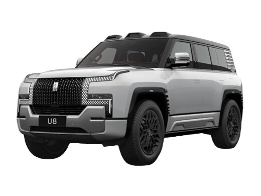 фото BYD YangWang U8